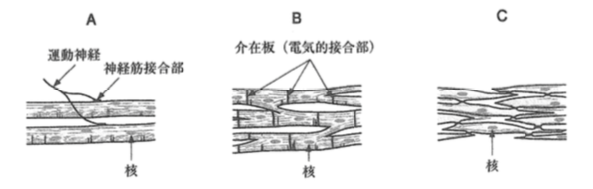 解説画像